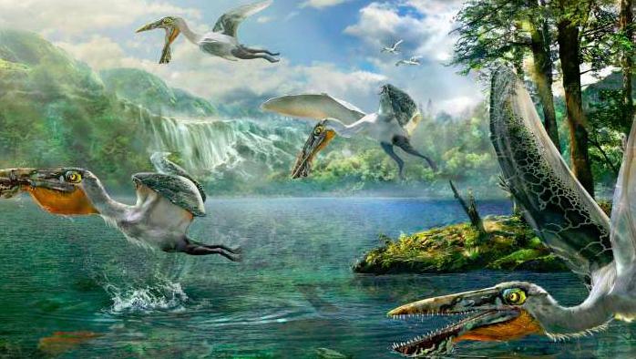 Los pterosaurios fueron los primeros vertebrados voladores de la Tierra, y los pájaros y murciélagos hicieron su aparición más tarde. (Foto: newsdaily.com)