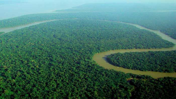 Datos oficiales del gobierno peruano detallan que la selva amazónica pierde 100 mil hectáreas por año debido a actividades mineras y relacionadas con la agricultura (Archivo)