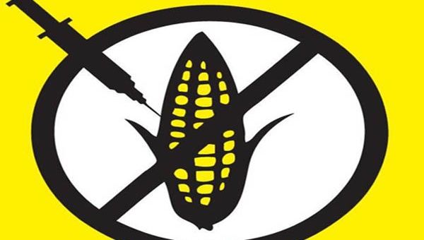 Sudáfrica prohíbe anuncios de Monsanto en la radio local. (Foto: Archivo)