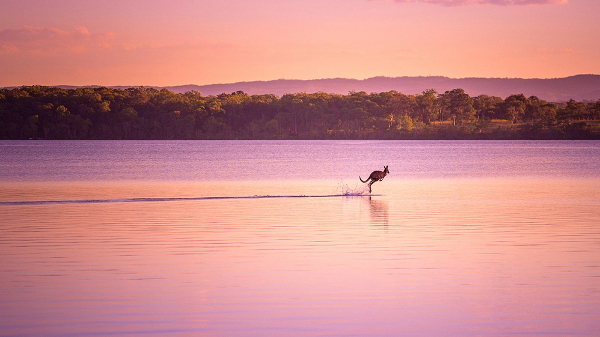 “Caminando sobre el agua”, Noosa, Queensland, Australia, por Dave Kan
