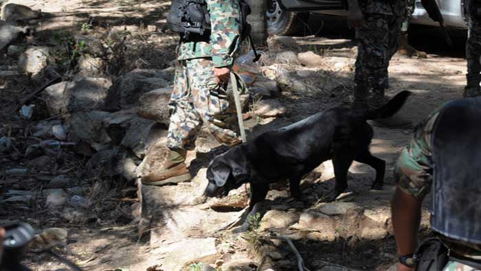 Unidades caninas fueron desplegadas por la zona en búsqueda de nuevo restos (Cuartoscuro)