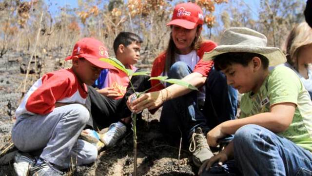 Los niños también participan en la siembra de árboles. (Foto: AVN)