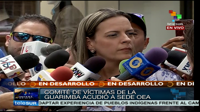La representante del Comité de Víctimas de la Guarimba, Desiree Cabrera, dijo que el objetivo de acudir a la OEA fue divulgar la verdad.