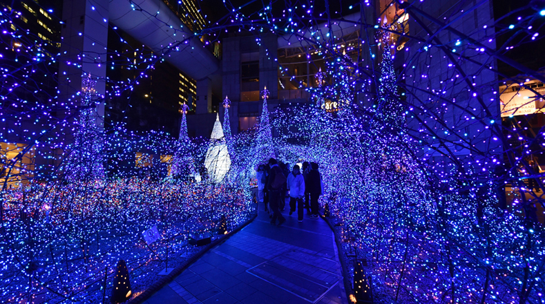 Los visitantes disfrutan de un recorrido por caminerías iluminadas en Japón.