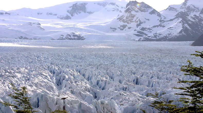 El Glaciar Perito Moreno en la Patagonia argentina es una imponente masa de hielo interminable rodeada de bosques y montañas. Llamada la octava maravilla del mundo, es sin duda uno de los sitios más visitados de este país.