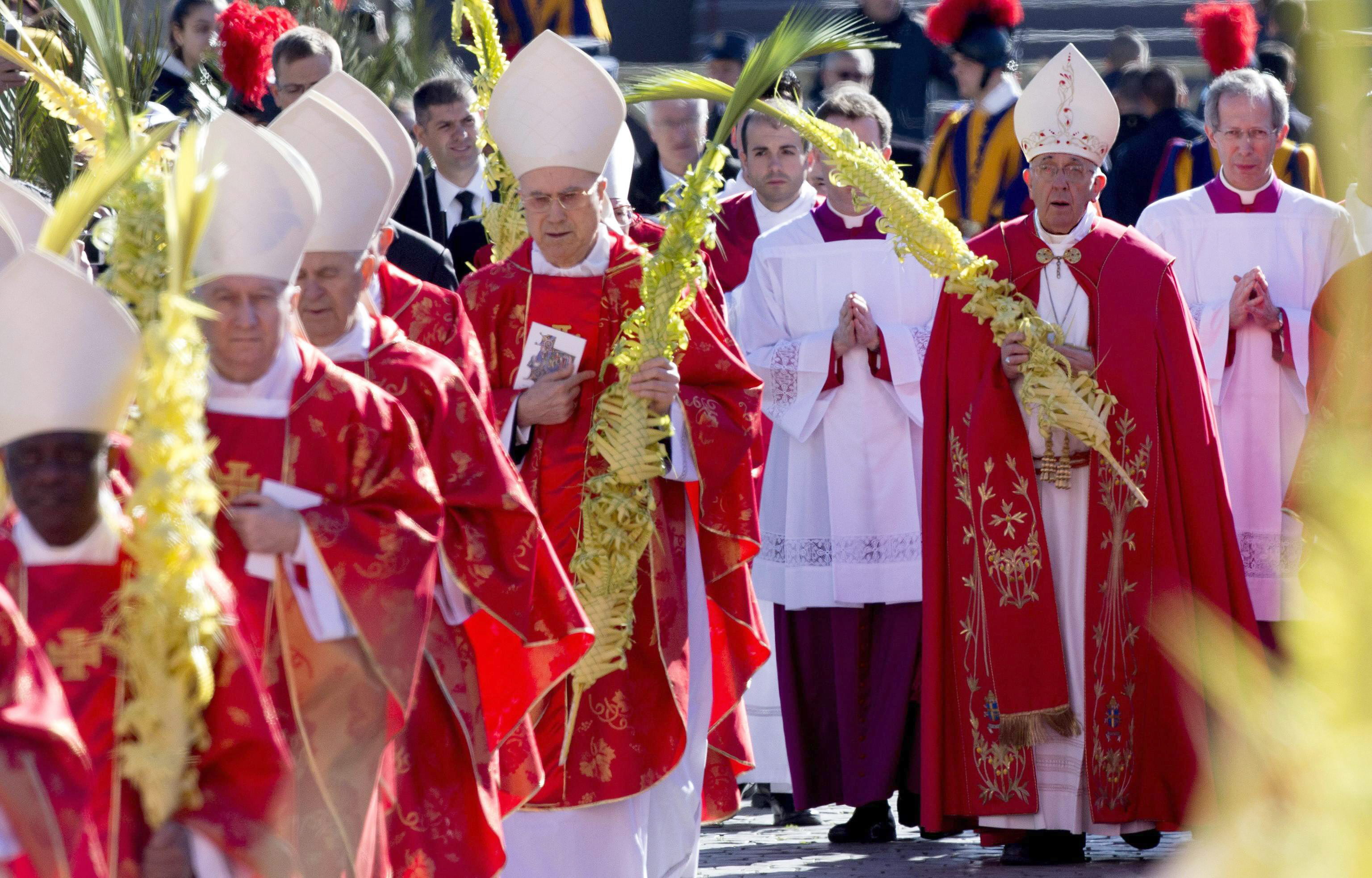 El sumo pontífice bendijo este domingo los ramos de olivo y las palmas.