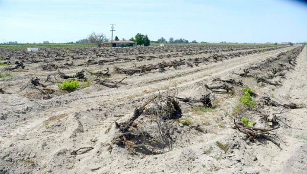 La sequía ha expuesto los actuales problemas que tiene California.