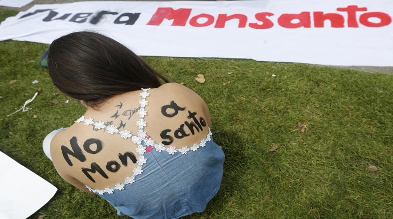 En la ciudad de Bogotá, capital de Colombia, los activistas tomaron las calles y marcharon en contra de Monsanto.