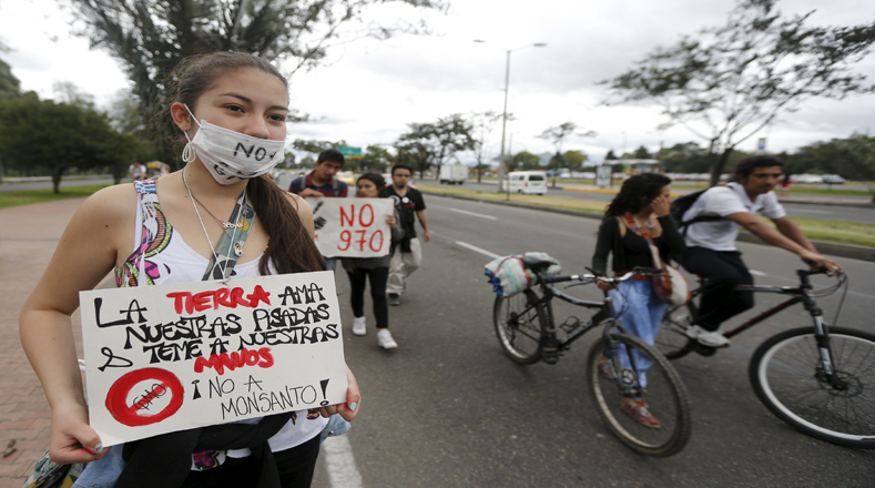 Colombia, "La TIERRA ama nuestras pisadas y teme a nuestras manos" ¡No a Monsanto!