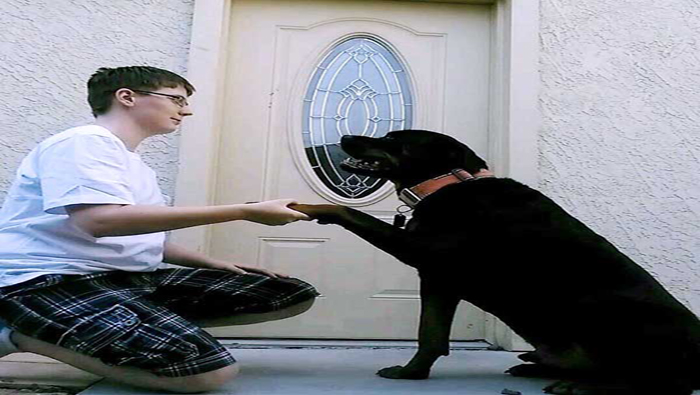 Danielle entrenó a su Rottweiler para que la asistiera durante sus ataques de ansiedad.