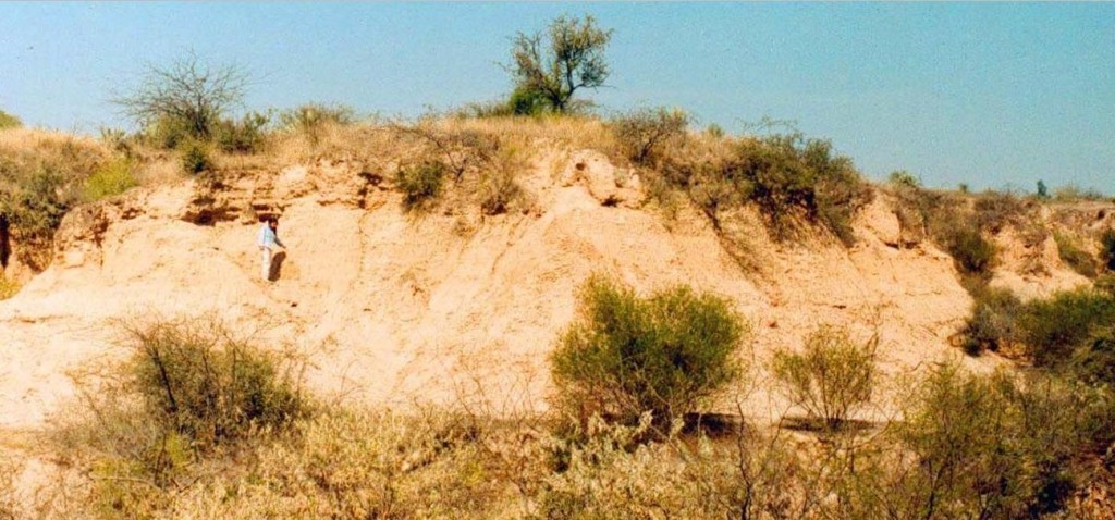 Esta fue la zona donde localizaron los restos fósiles en en el centro termal más importante de Argentina.