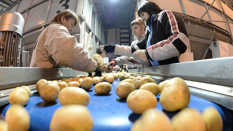 Verduras y frutas provenientes de la UE y EE.UU. no pueden importarse a Rusia
