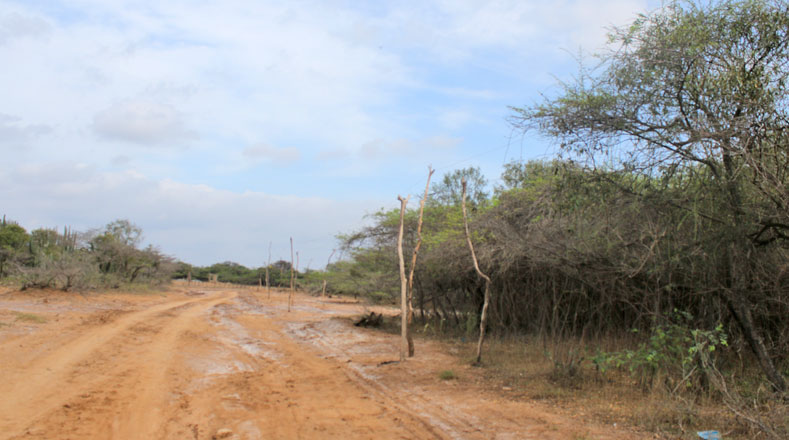Imagen de una trocha ubicada a unos 500 kilómetros de Maracaibo, la capital de Zulia.