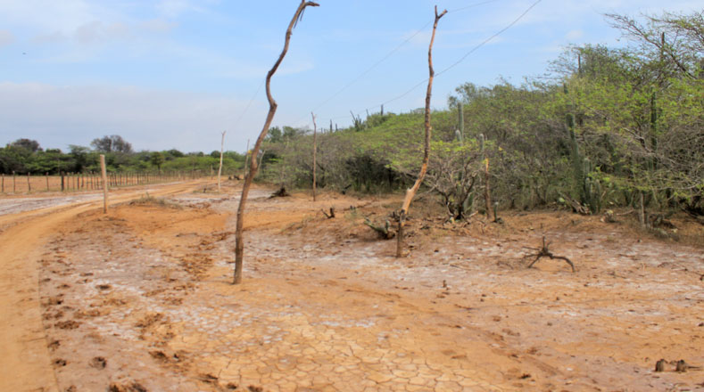 Trocha en la población de Alitain, en La Guajira, a unos 500 kilómetros de Maracaibo.