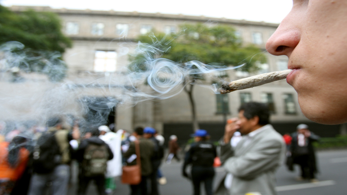 La lucha por legalizar la marihuana persiste en varios países del mundo.