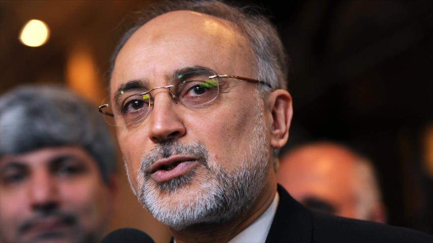 Salehi aseguró que Irán contará con la ayuda de China y Rusia para construir dos nuevas centrales nucleares.