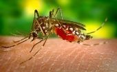 Investigadores han descubierto otros malos asociados al virus