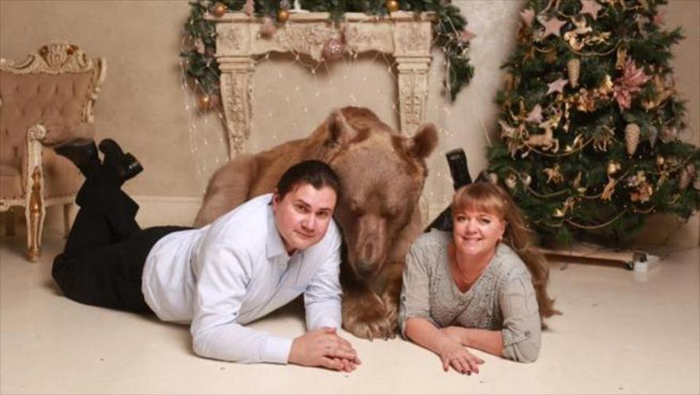 Lo común es tener un perro o un gato como mascota doméstica, sin embargo, Svetlana y Yuriy Panteleenko decidieron adoptar un oso pardo.