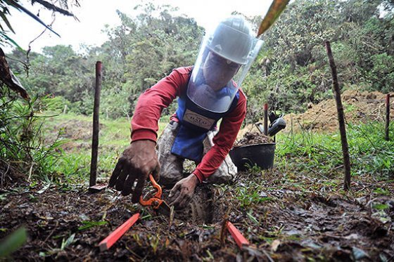 Limpiar al país suramericano de minas antipersona tendrá un costo cercano a los 327 millones de dólares.