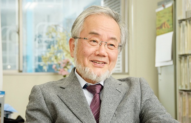 Yoshinori Ohsumi, Premio Nobel de Medicina 2016