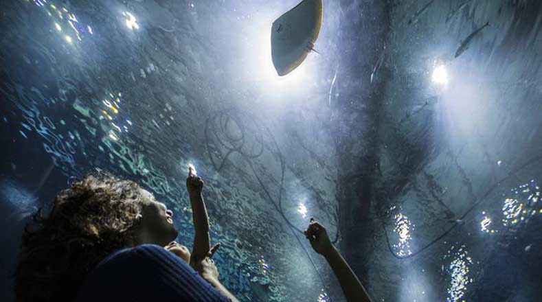  El mayor acuario de Suramérica ofrecerá a los visitantes la oportunidad de pasear bajo el mar a través de un túnel transparente.