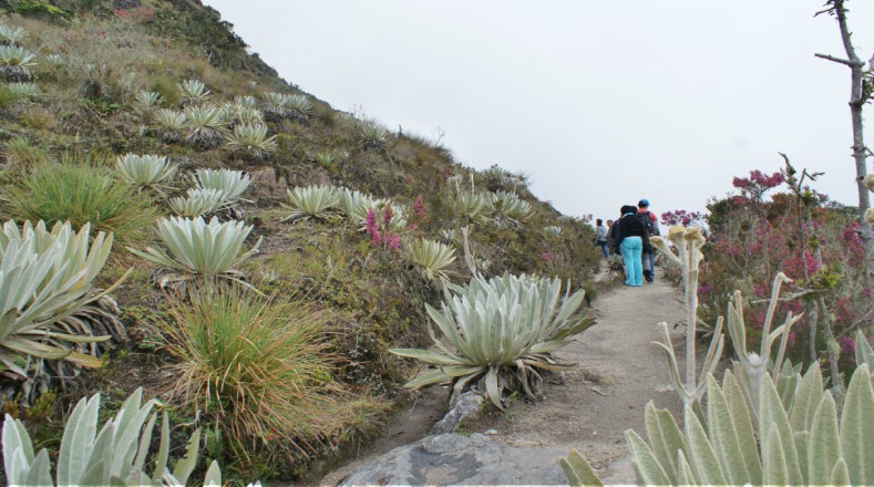El teleférico recorre seis unidades ecológicas de las trece que tiene el Parque Nacional Sierra Nevada, trascendiendo los 1.600 metros de altura sobre el nivel del mar que tiene Mérida.