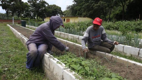 FFM aspira capacitar 300 pregoneros de Agricultura Urbana en Venezuela