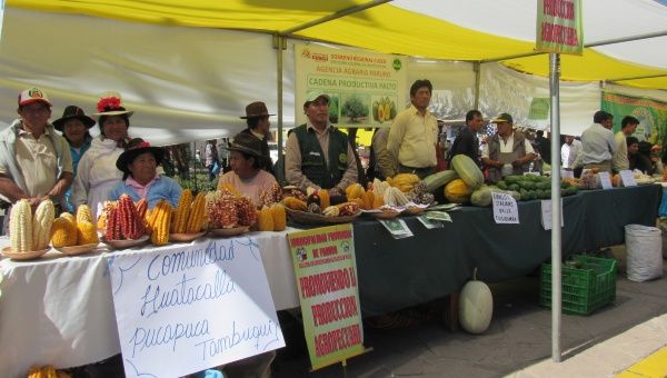 Agricultores del Perú agradecen a Rusia el reconocimiento de la calidad de sus productos