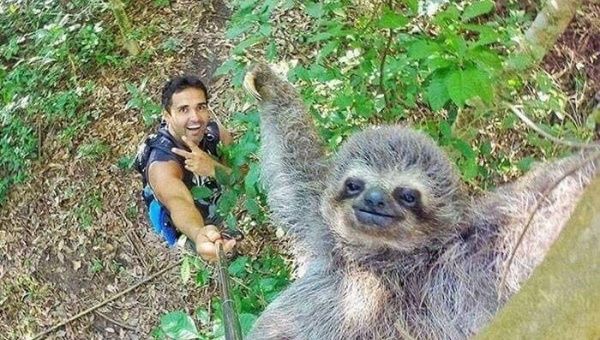 El mejor selfie del año. 