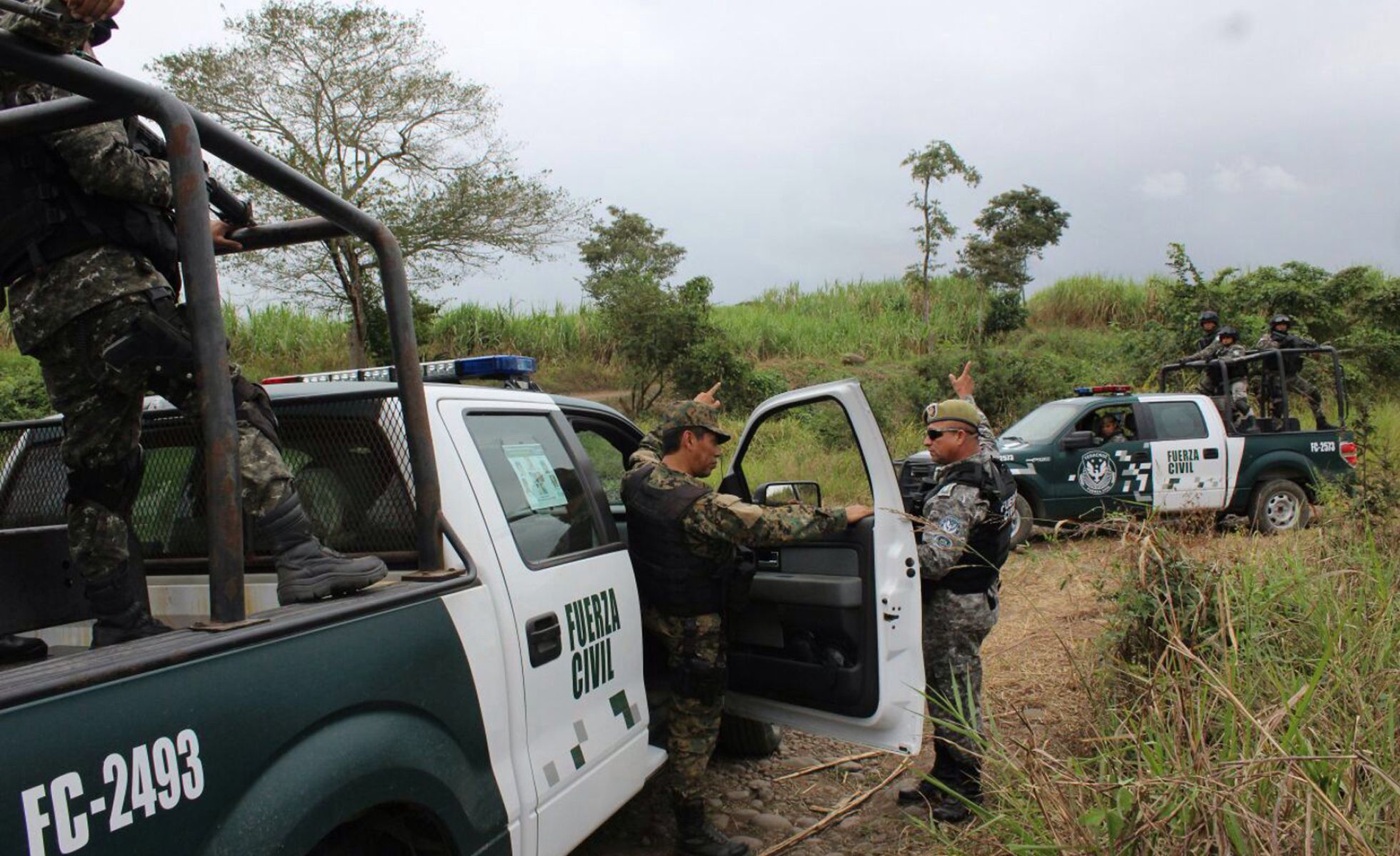 La policía de Veracruz abrió investigación para identificar los restos
