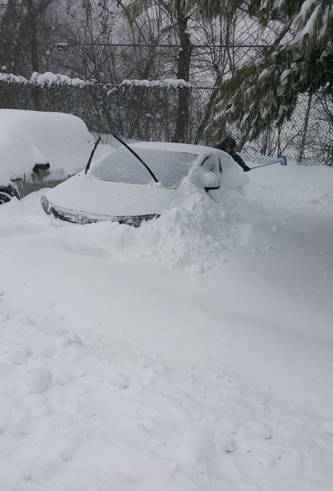 Numerosos vehículos quedaron cubiertos de nieve.