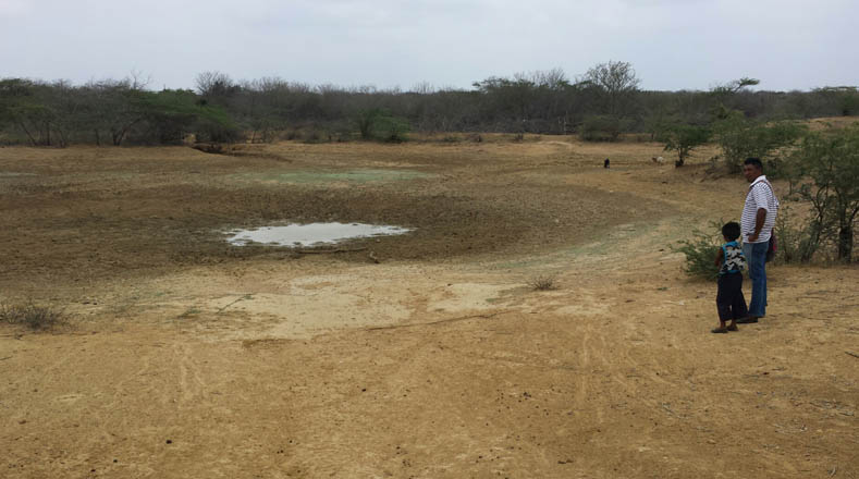 La sequía en la Guajira ha afectado a los cultivos y la actividad agropecuaria en la zona.
