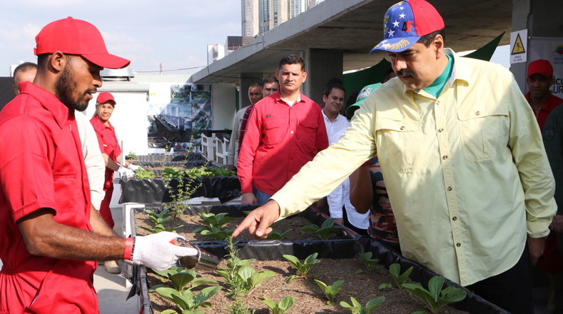 El presidente Nicolás Maduro dijo este domingo que llegó la hora de impulsar la producción de alimentos en las ciudades.