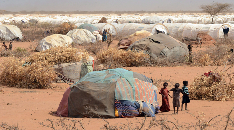 En julio de 2011, las ONU declaró a Nairobi y dos regiones más del sur de Somalia en situación de hambruna. 