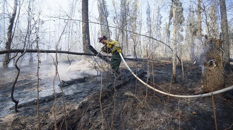 En la zona afectada trabajan más de mil efectivos bomberiles, quienes han sofocado el fuego en al menos 200 mil hectáreas. 