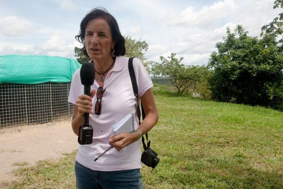 Salud Hernández se encontraba en la región del Catatumbo, en el noreste en Colombia, cuando desaparació.