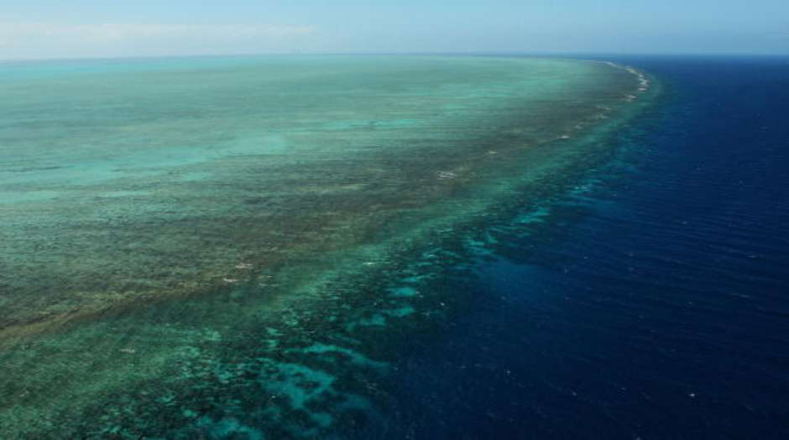 La Gran Barrera de Coral, el ser vivo más grande del mundo, ha perdido el 35 por ciento de su superficie por el cambio climático que también genera el deshielo de los polos.