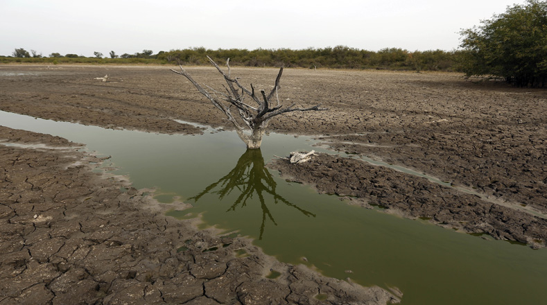 Según las autoridades, la sequía es ocasionada por el fenómeno El Niño y es la peor de los últimos 19 años en la zona.