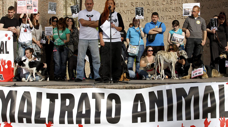 Activistas luchan por el reconocimiento de los derechos de los animales.