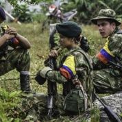 Las tropas del grupo insurgente se encontraban en desde el pasado 17 de septiembre en los llanos del Yarí por la realización de la Décima Conferencia de las FARC - EP. 