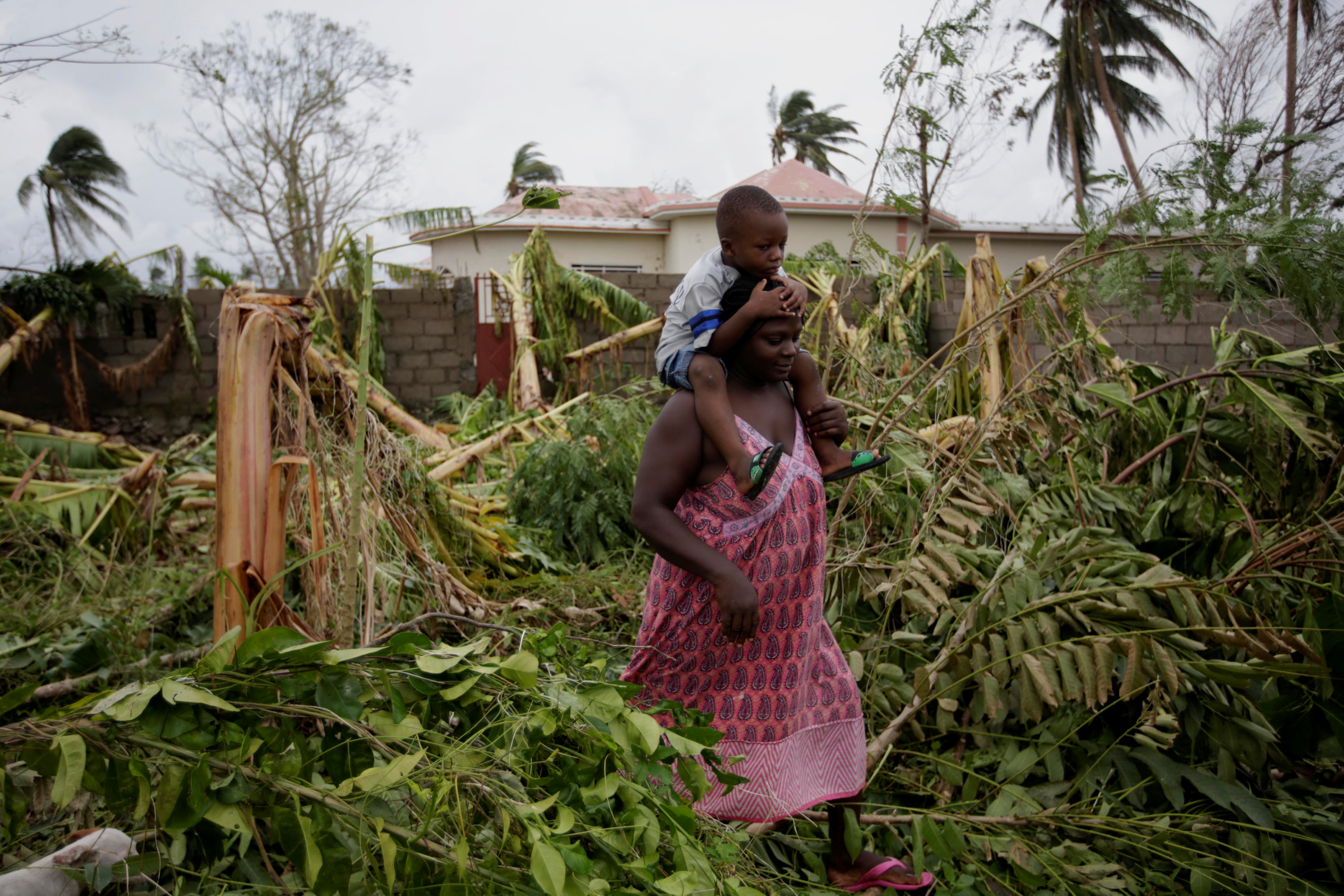 Una mujer lleva un niño caminando entre los árboles talados por el huracán Mateo en Les Cayes, Haití