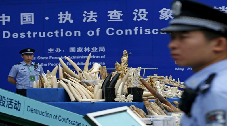 China ayudará a los talladores de marfil del país a encontrar un empleo.