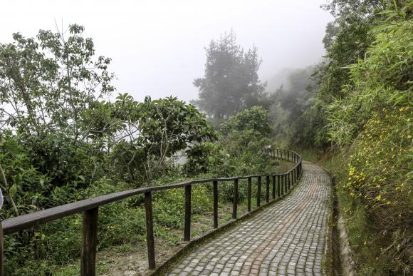 Está ubicado al noroccidente de Quito y es uno de los lugares con mayor riqueza vegetal y animal del planeta.