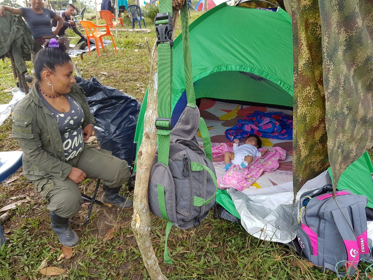 Estas son las condiciones en las que viven los hijos e hijas de excombatienes de las FARC-EP por el incumplimiento en las obras de las Zonas Veredales