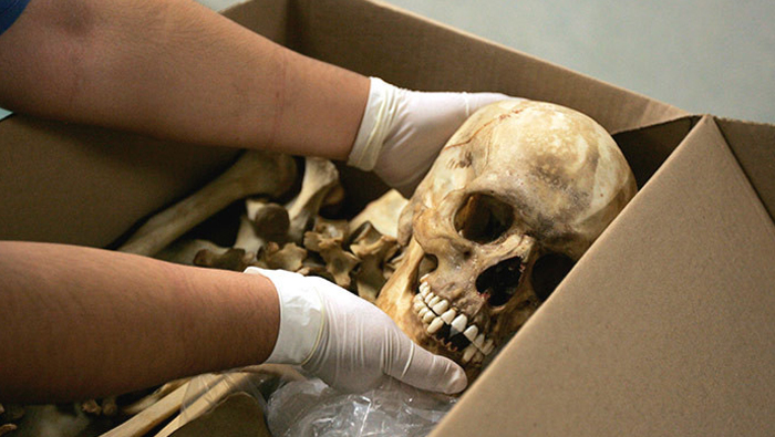 La mayor parte de los cuerpos exhumados corresponden a mujeres y a jóvenes entre 14 y 25 años.