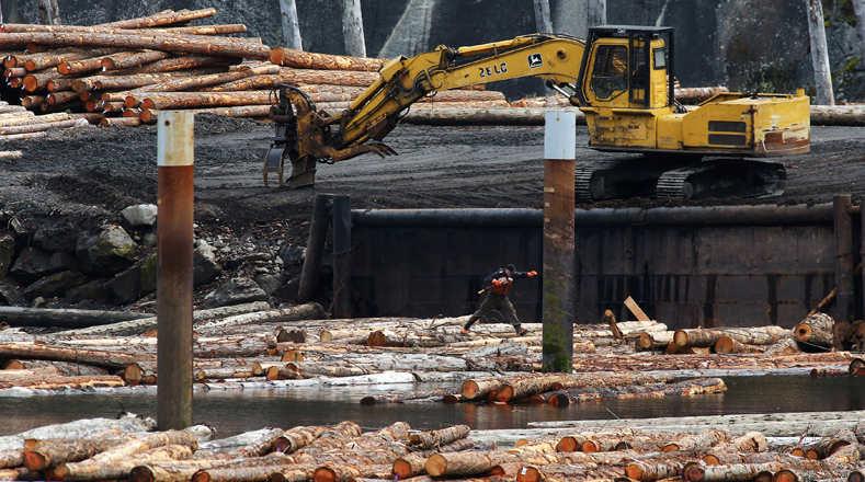 EE.UU. impuso un arancel a las importaciones de madera de construcción canadiense.