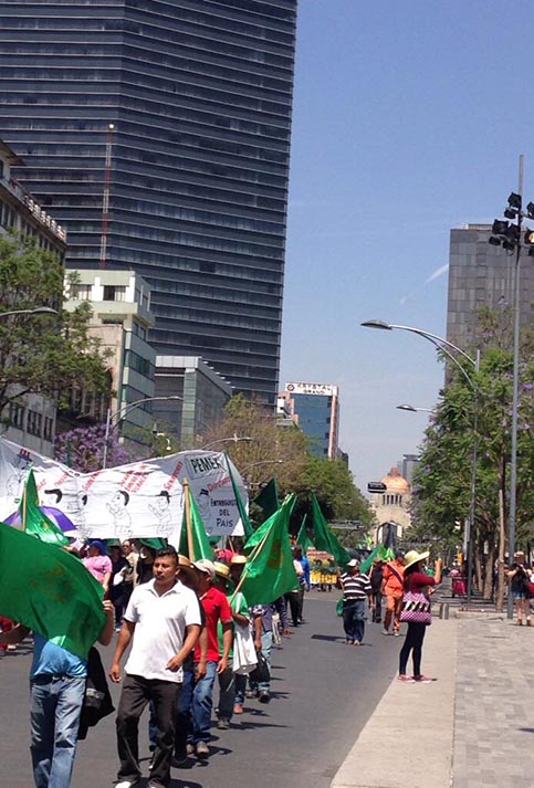 Campesinos de varios estados de México expresaron su apoyo al Gobierno de Nicolás Maduro.