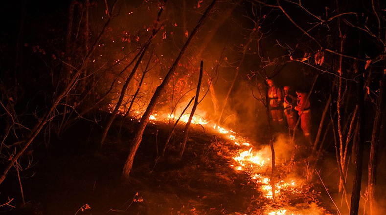 Según las autoridades locales de prevención de incendios, la sequedad de la vegetación, los fuertes y cambiantes vientos y las altas temperaturas han dificultado la extinción de las llamas.