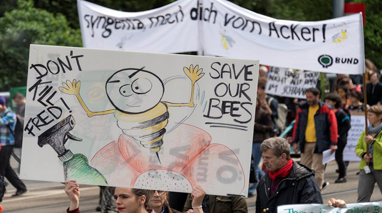 Los manifestantes consideran que Monsanto, adquirida el año pasado por la farmacéutica alemana Bayer, impulsa una política agresiva y expansionista que pone en riesgo la autonomía alimentaria y los cultivos tradicionales.