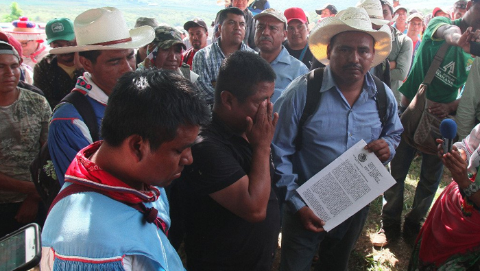 En el año 2016 Miguel Vázquez recuperó 200 hectáreas en el poblado Huajimic, Nayarit.